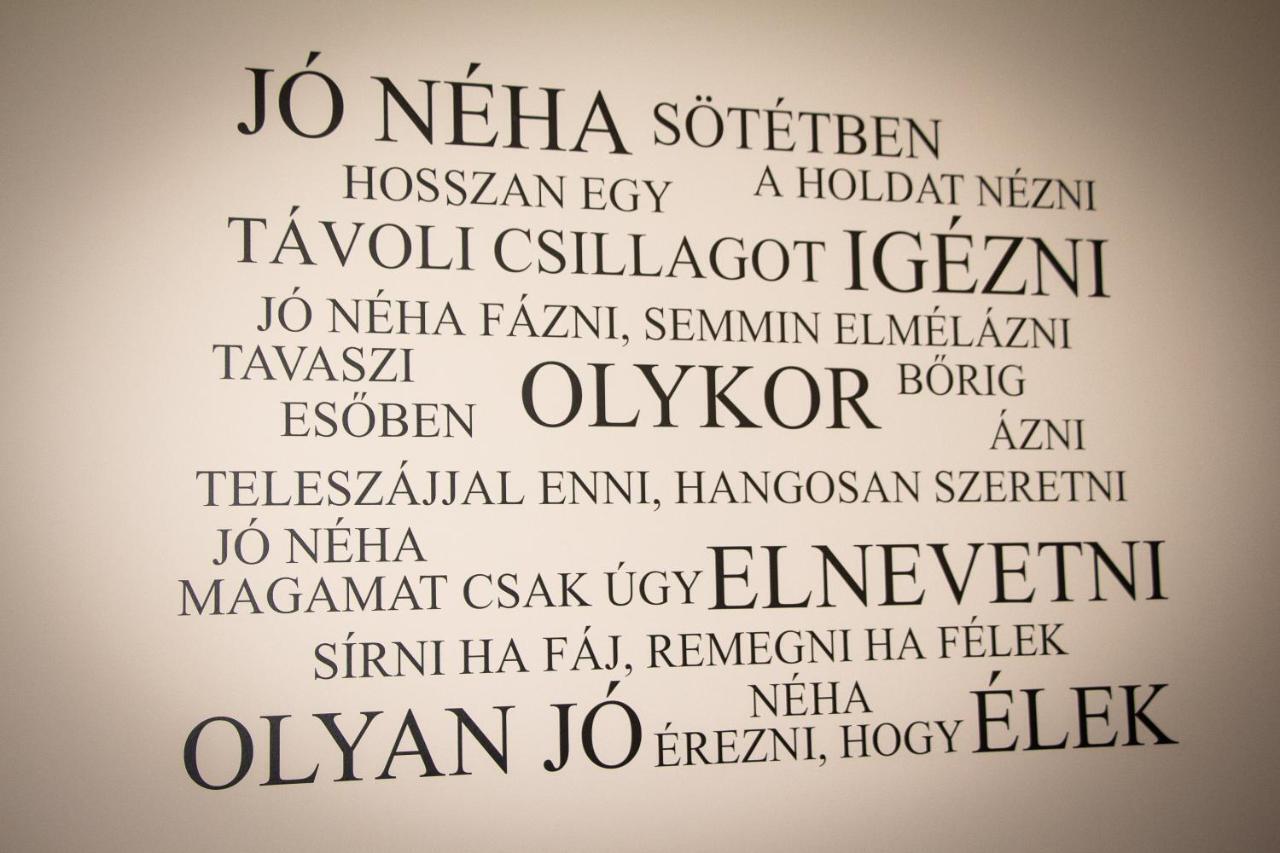 Loli * Miskolc